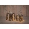 Verlichte Cadeaudoosjes 50 LED IP44 | Anna's Collection