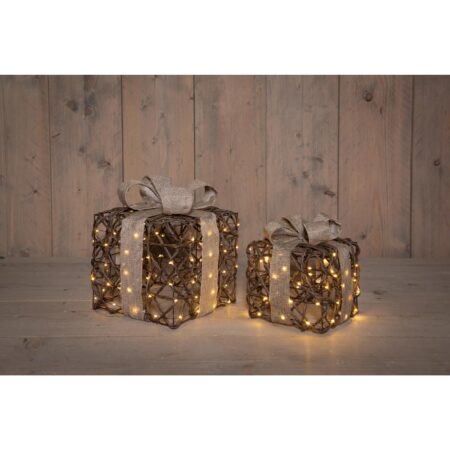 Verlichte Cadeaudoosjes 50 LED IP44 | Anna's Collection