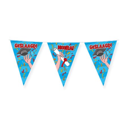 Vlaggenlijn Geslaagd school cartoon 10m | Paperdreams