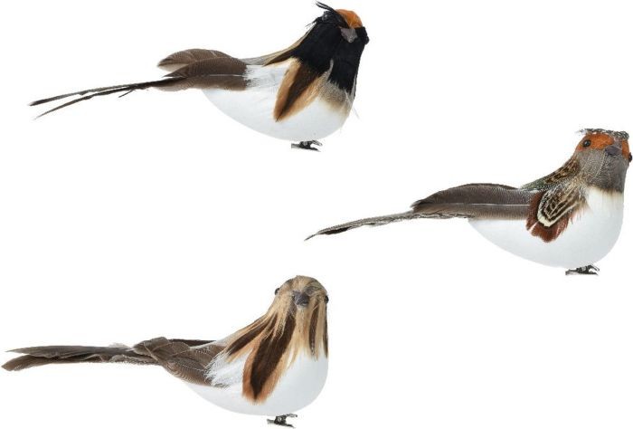 Vogel Foam Op Clip |
