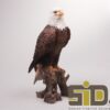 Vogel adelaar polyresin 15x14x36 cm | Z