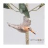 Vogel grutto vliegend | Farmwood Animals