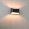Volans nero oro by LUSENZ - Ovaalvormige wandlamp met up and downlight