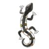 Wanddecoratie Salamander Nizza | Boltze