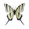 Wanddecoratie Vlinder gestreept | Primus Handcraft