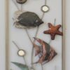 Wanddecoratie frame Maanvissen | Gave Specials