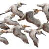 Wanddecoratie pelikanen van metaal | Raf Import