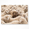 Wandkleed The Herd Met Frame 80x110 | Urban Cotton