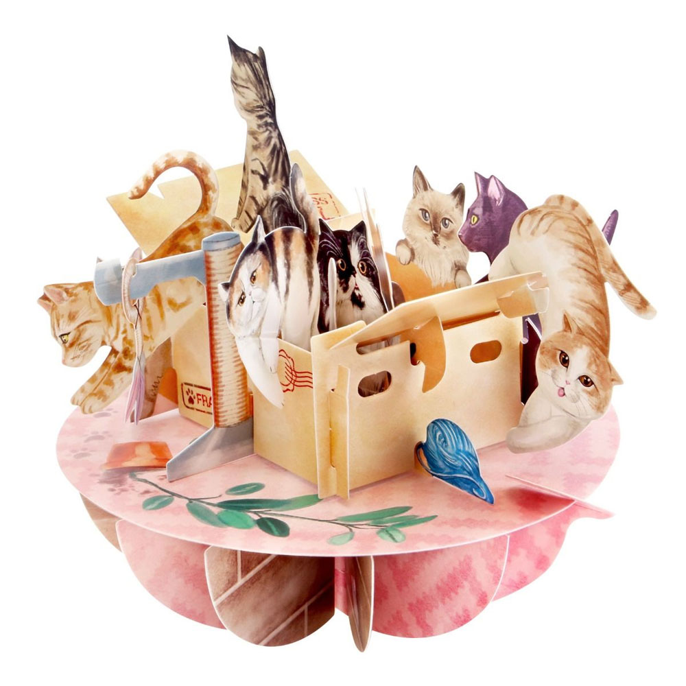 Wenskaart 3D Purrrfect |