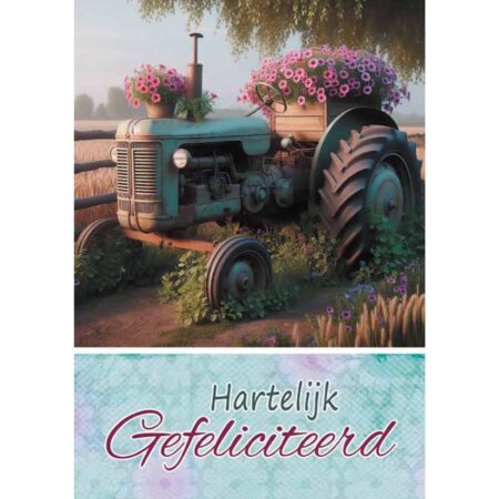 Wenskaarten Gefeliciteerd pak a 10 stuks | Merkloos
