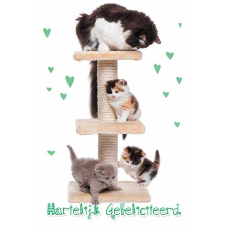 Wenskaarten Gefeliciteerd pak a 10 stuks | Merkloos