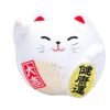 Witte Lucky Cats Figuur - Decoratief Geluksymbool - 5.5cm | Tokyo Design Studio