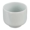 Witte Proef Sakekop - 45ml