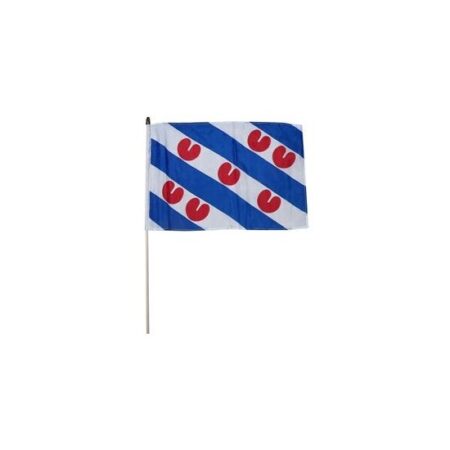 Zwaaivlag Friesland groot 50x70cm + stok | Merkloos