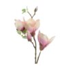 magnolia zijde steel | Z