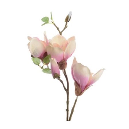magnolia zijde steel | Z
