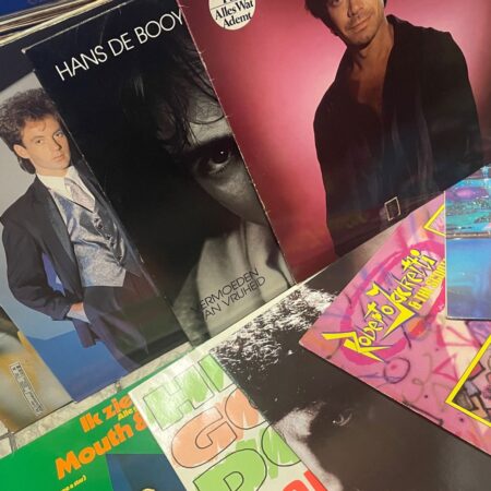 10 x Random Nederlandse Artiesten 's (LP) | Fiftiesstore