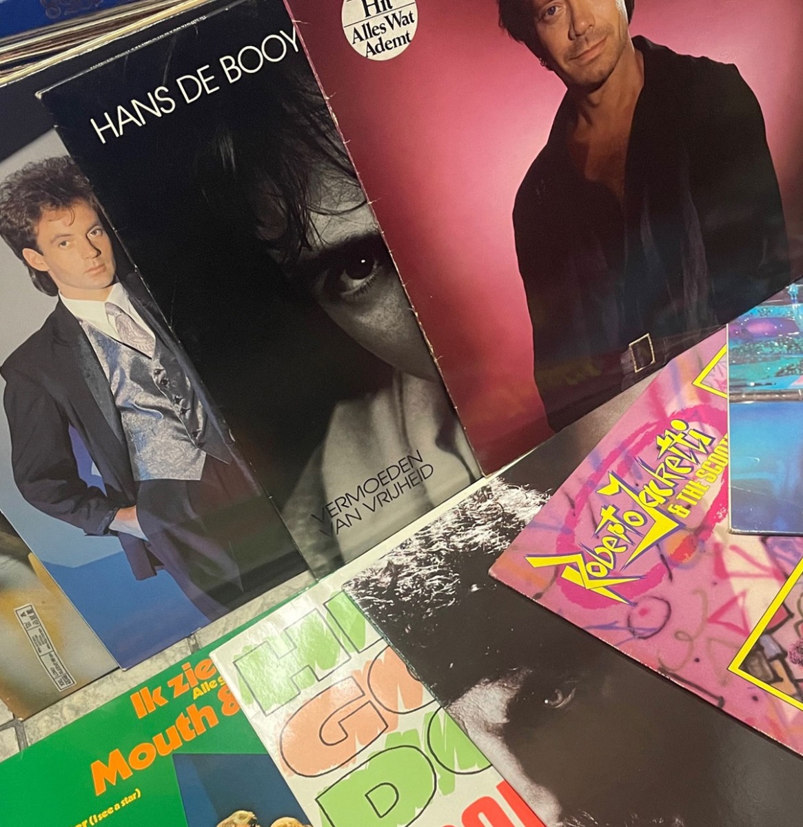 10 x Random Nederlandse Artiesten 's (LP) | Fiftiesstore
