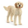 13939 Schleich goldendoodle | Schleich