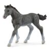 13944 Schleich trakehner veulen | Schleich