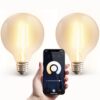 2x Smart E27 LED filament lamp - G95 - Wifi & Bluetooth - 806 lumen - 7 Watt - Warm wit tot koud wit | HOFTRONIC SMART