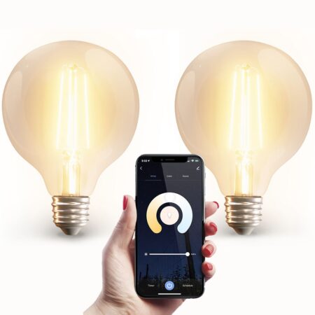 2x Smart E27 LED filament lamp - G95 - Wifi & Bluetooth - 806 lumen - 7 Watt - Warm wit tot koud wit | HOFTRONIC SMART