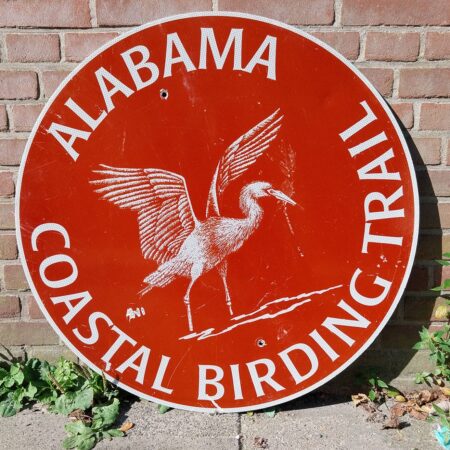 Alabama Coastal Birding Trail Straatbord - Origineel - Ø76cm | The Dutch Pickers