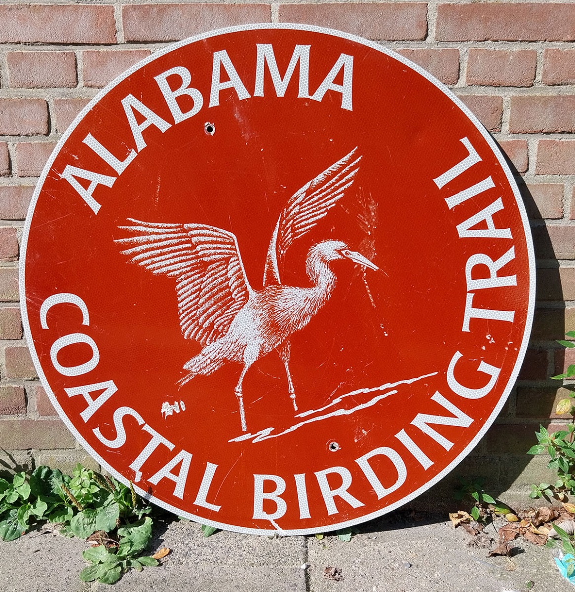 Alabama Coastal Birding Trail Straatbord - Origineel - Ø76cm | The Dutch Pickers