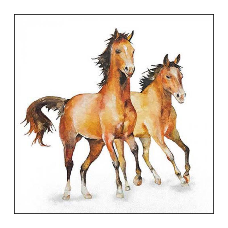 Ambiente Servet 33 Wild horses | Ambiente