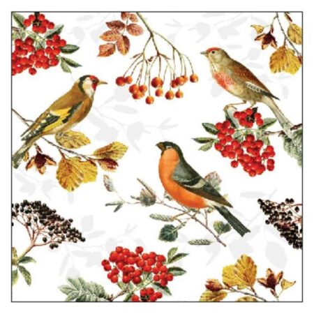 Ambiente Servetten 25cm Autumn birds | Ambiente