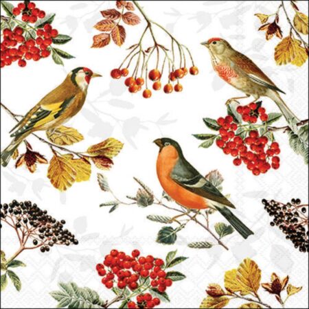 Ambiente Servetten 33cm Autumn birds | Ambiente