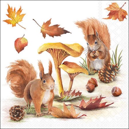 Ambiente Servetten 33cm Squirrels nuts | Ambiente