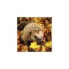 Ambiente Servetten Egel 33cm | Ambiente