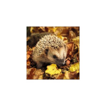 Ambiente Servetten Egel 33cm | Ambiente