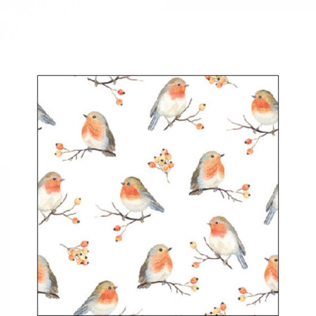 Ambiente Servetten Robin Family 33cm | Ambiente