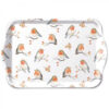 Ambiente Tray Robin Family 13x21cm | Ambiente