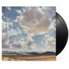 American Aquarium - The Fear Of Standing Still (LP) | Fiftiesstore