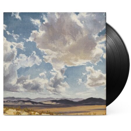 American Aquarium - The Fear Of Standing Still (LP) | Fiftiesstore