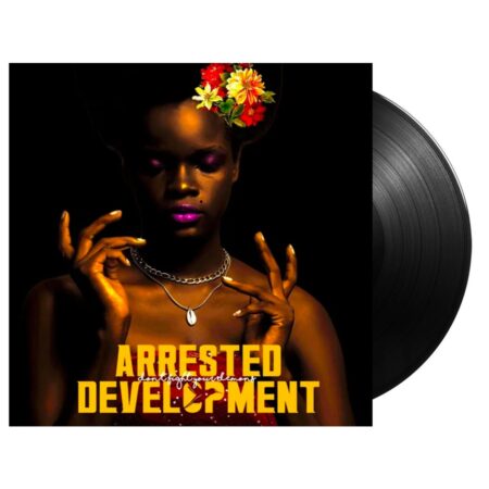 Arrested Development - Don't Fight You Demons 2 LAATSTE STUKS | 17% korting (LP) | Fiftiesstore
