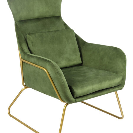 Artistiq Fauteuil 'Phelipe' Velvet