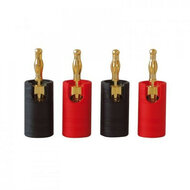Audio Dynavox Banaan stekker set verguld 4 stuks | Audio Dynavox