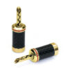 Audio Dynavox - holle banaanstekkerset Carbon 2 stuks | Audio Dynavox