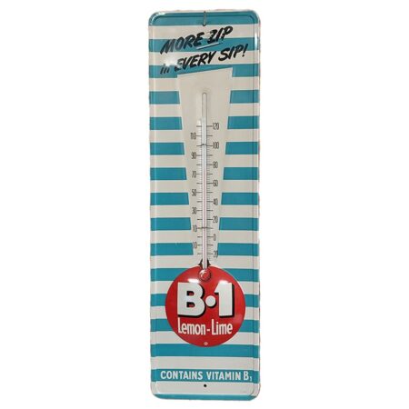 B1 Lemon-Lime Vintage Tin Thermometer | The Dutch Pickers