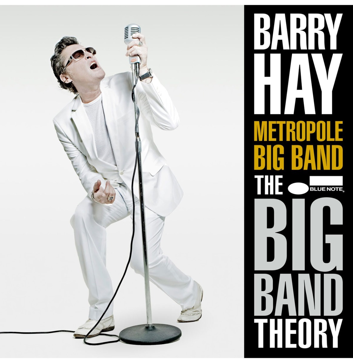 Barry Hay with The Metropole Big Band - Big Band Theory (Record Store Day 2024) | 10% korting (LP) | Fiftiesstore