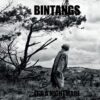 Bintangs - It's A Nightmare Nederpop (LP) | Fiftiesstore