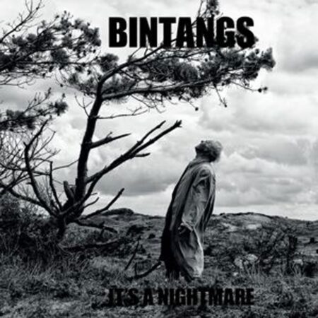 Bintangs - It's A Nightmare Nederpop (LP) | Fiftiesstore