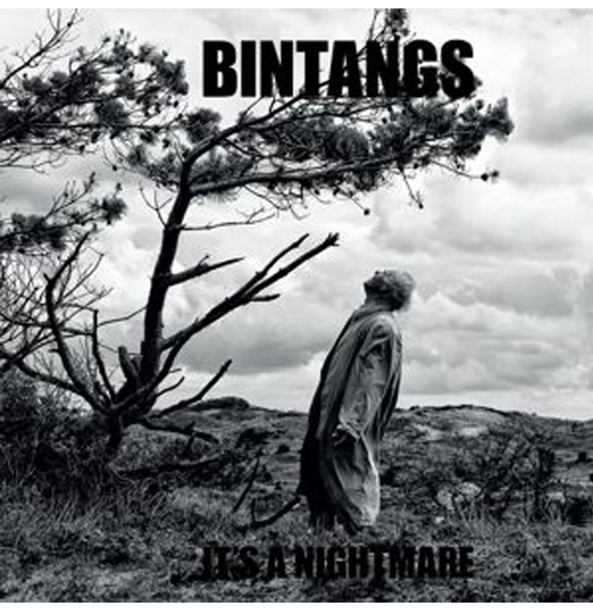 Bintangs - It's A Nightmare Nederpop (LP) | Fiftiesstore