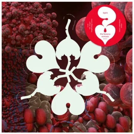 Björk - The Fossora Remixes - Beperkte Oplage - Record Store Day 2023 (LP) | Fiftiesstore
