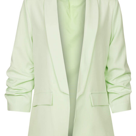 Blazer Gesmokte Mouw Lichtgroen | Fashionize