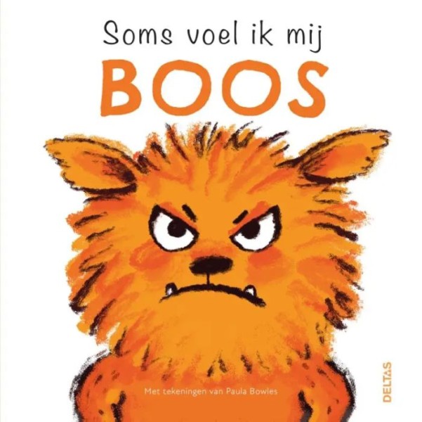 Boek Soms Voel Ik Mij Boos | Deltas